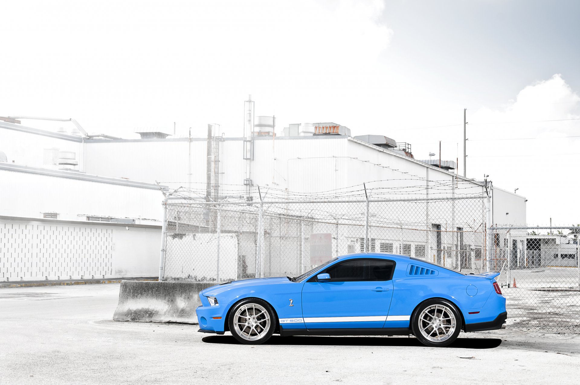 ford mustang shelby gt500 azul cian rayas deportivas muscle car valla malla bloques de hormigón