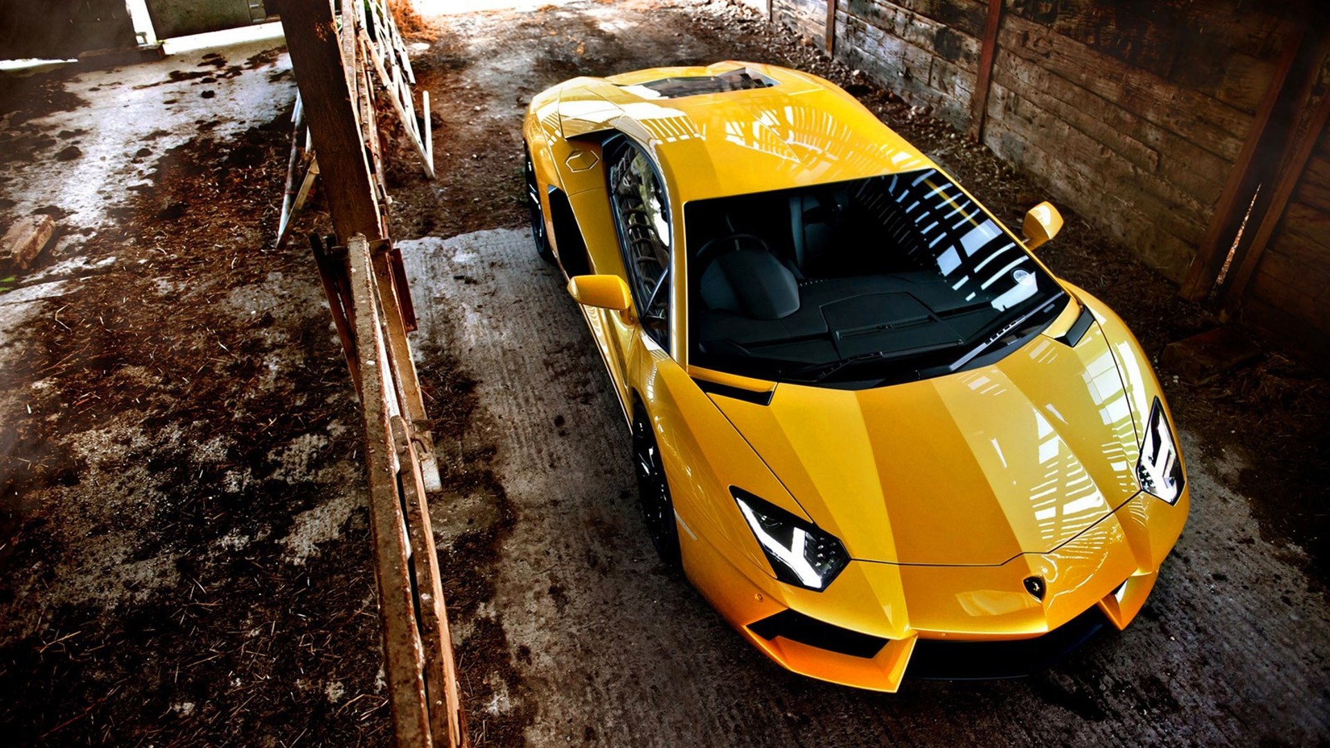 samochody lamborghini aventador sport samochód żółty