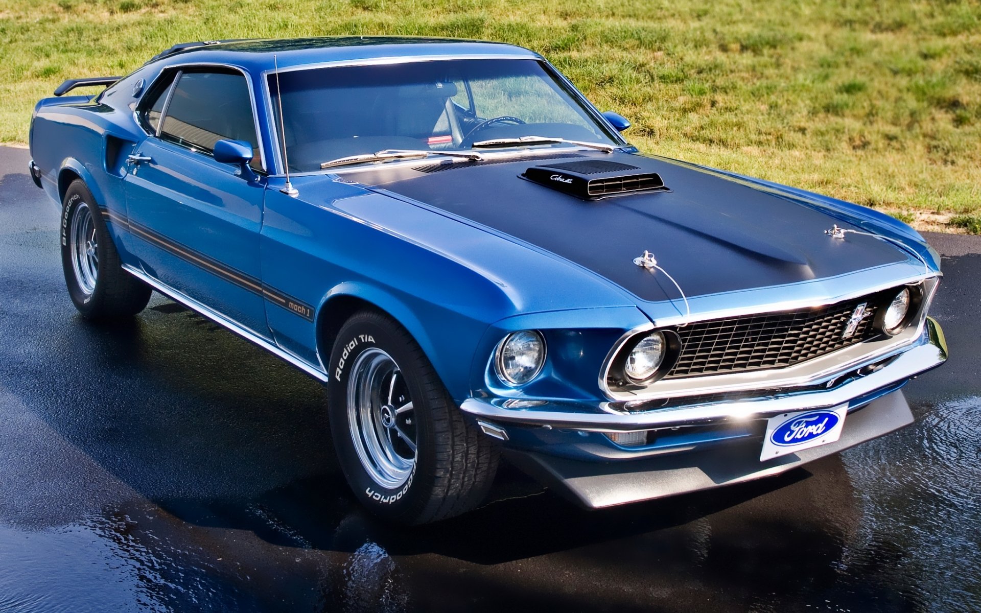 ford mustang mach 1 1969 blau front muscle car muscle car klassisch rasen