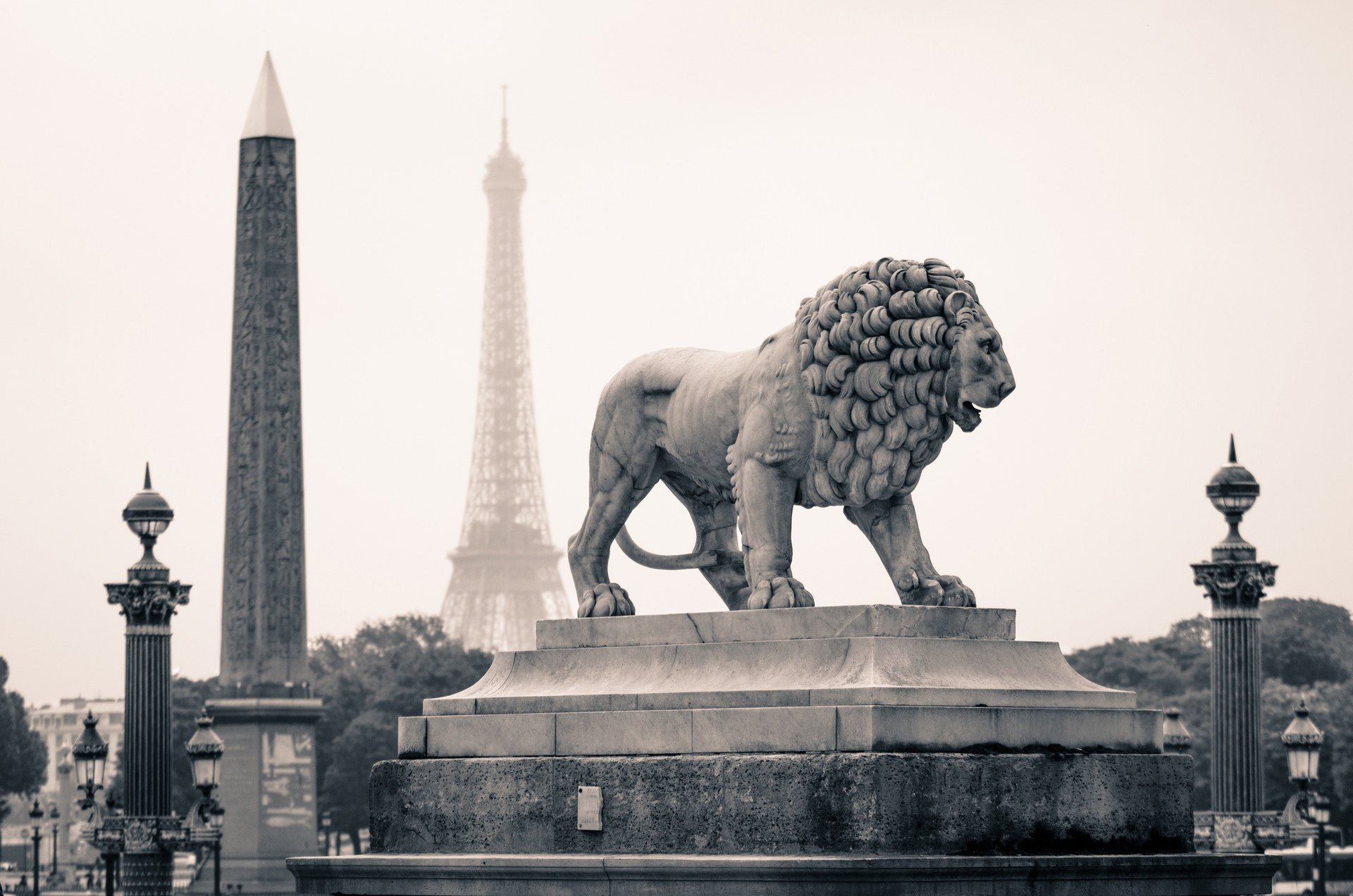 monumenti francia città parigi leone statua