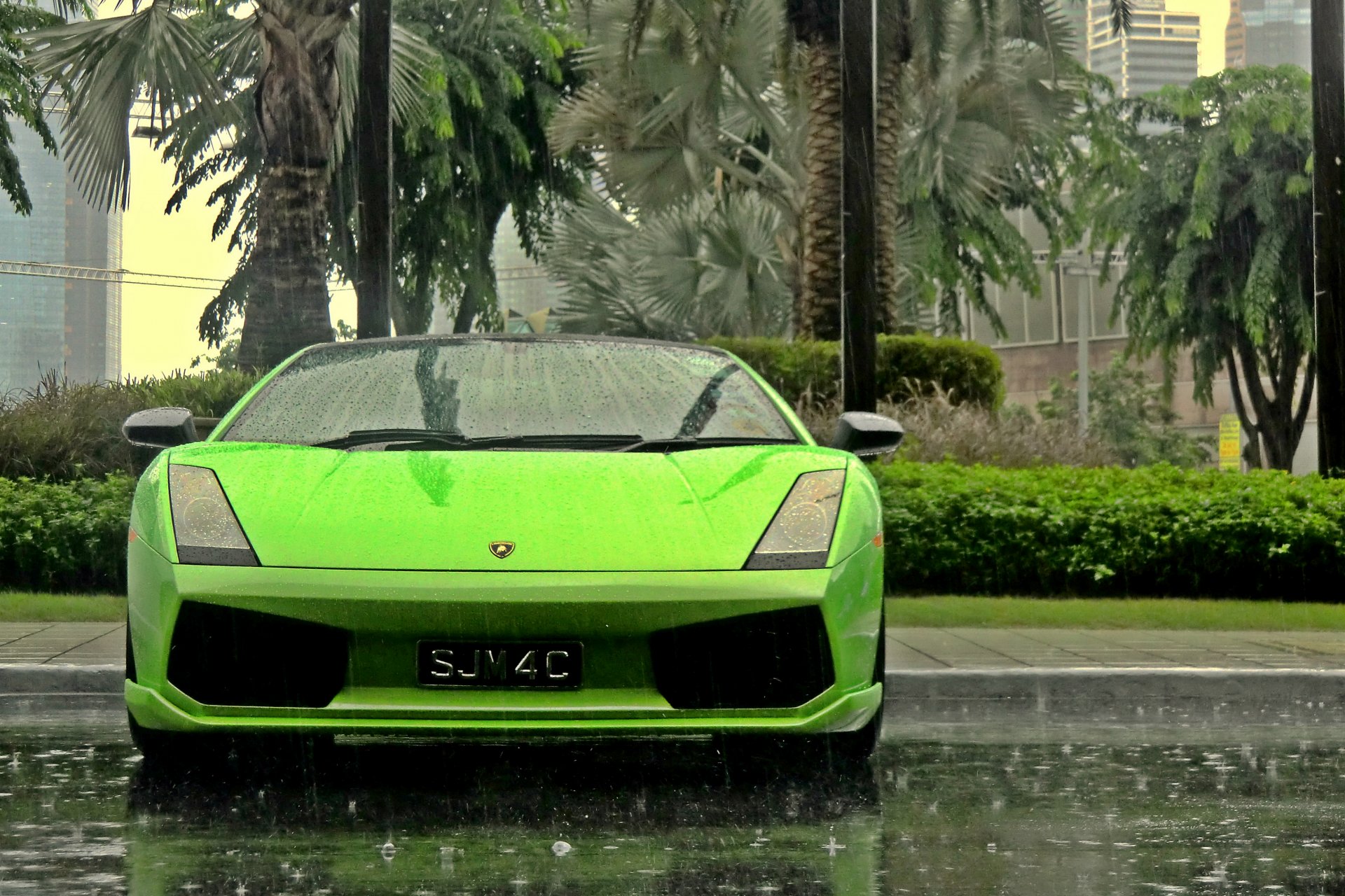 lamborghini gallardo superdeportivo lluvia palmeras fondo de pantalla