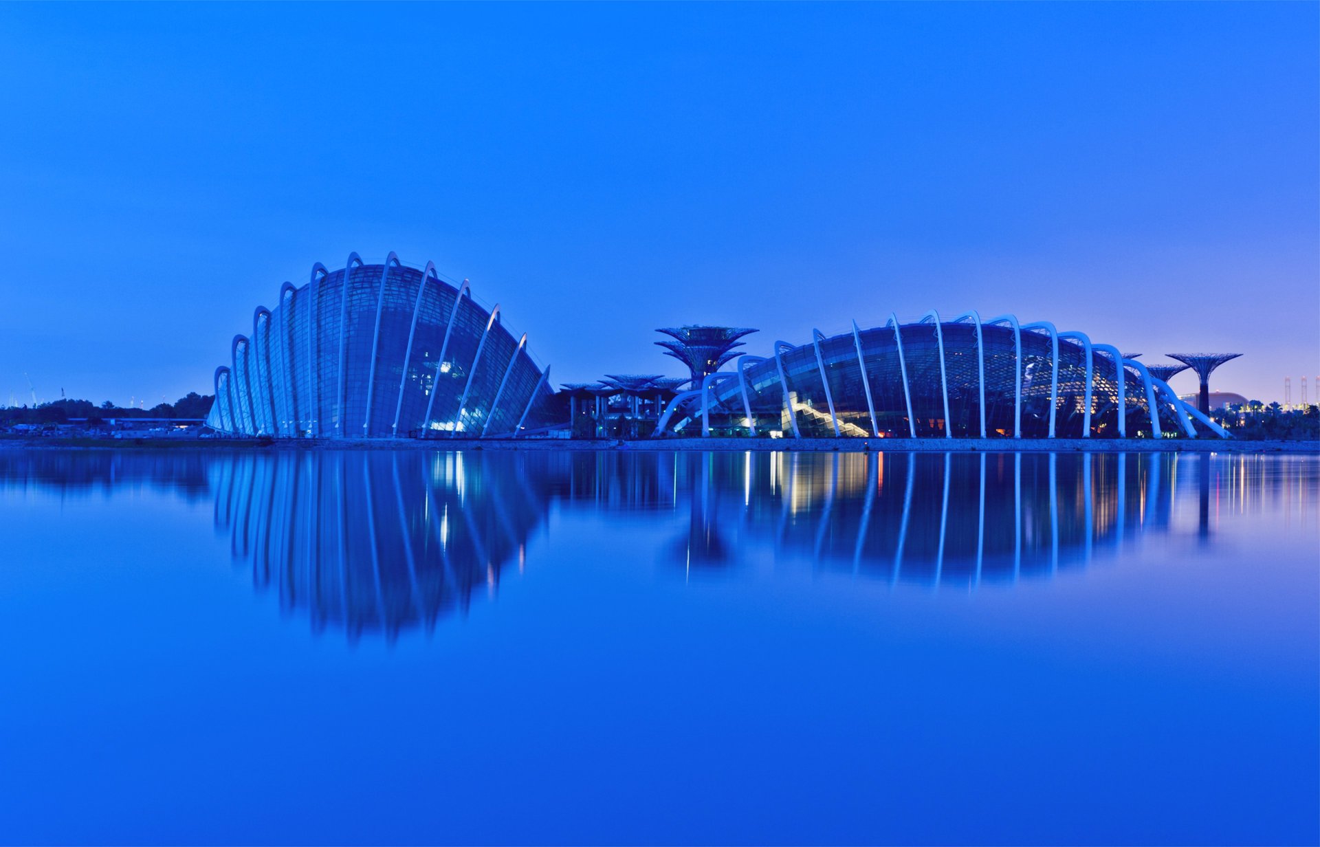 ingapore evening reflection gardens by the bay malaysia malaisie