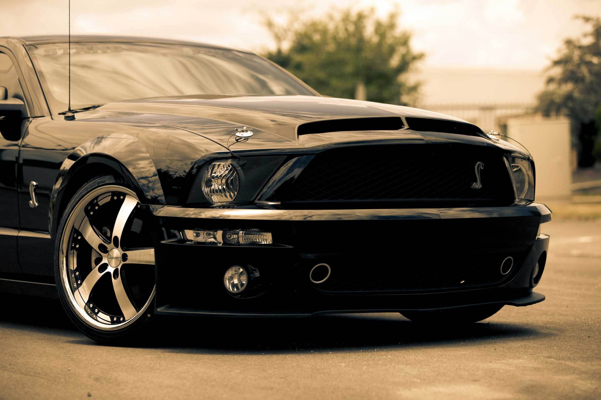 ford mustang shelby gt500 nero muscle car muscle car