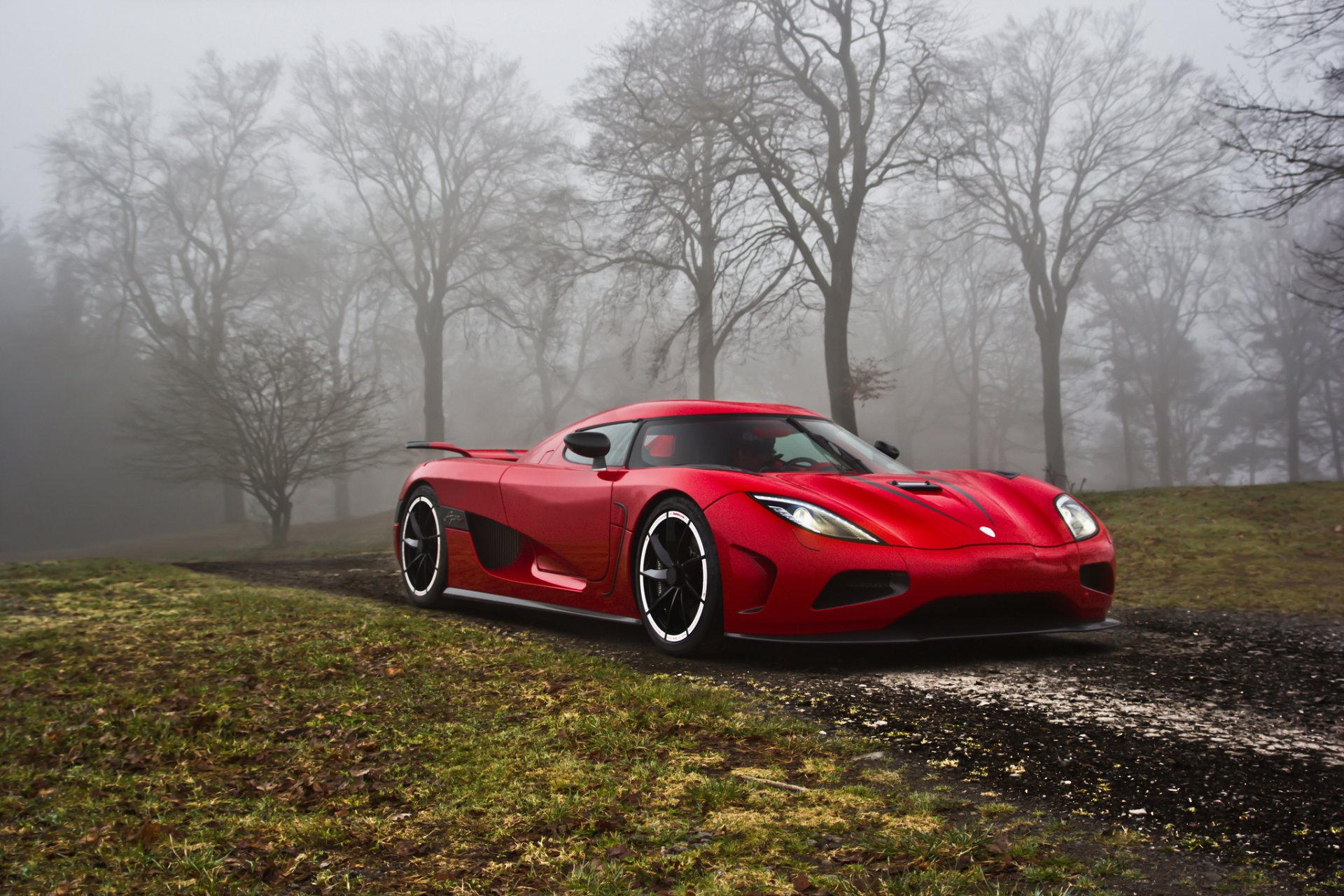 koenigsegg agerar tree grass road fog