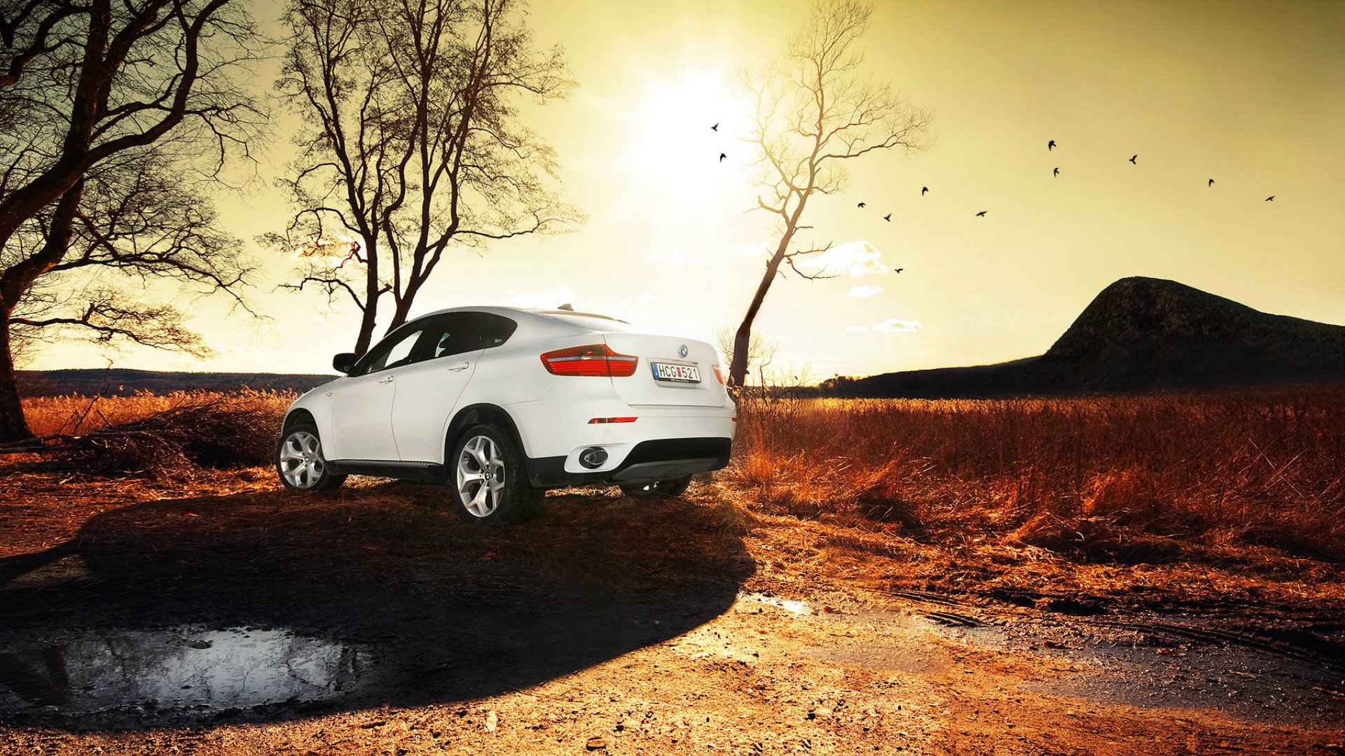 bmw x6 blanco suv parquet bmw sol charco