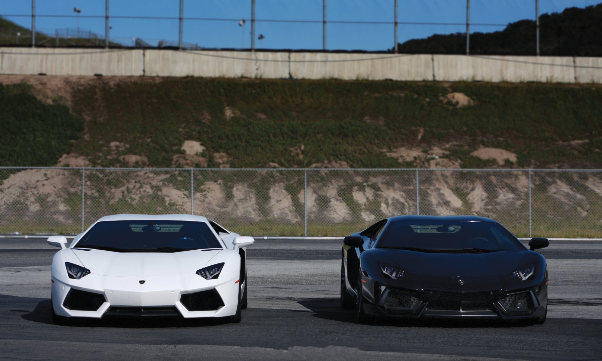 lamborghini aventador lp700-4 white black lamborghini aventador fence mesh asphalt sky