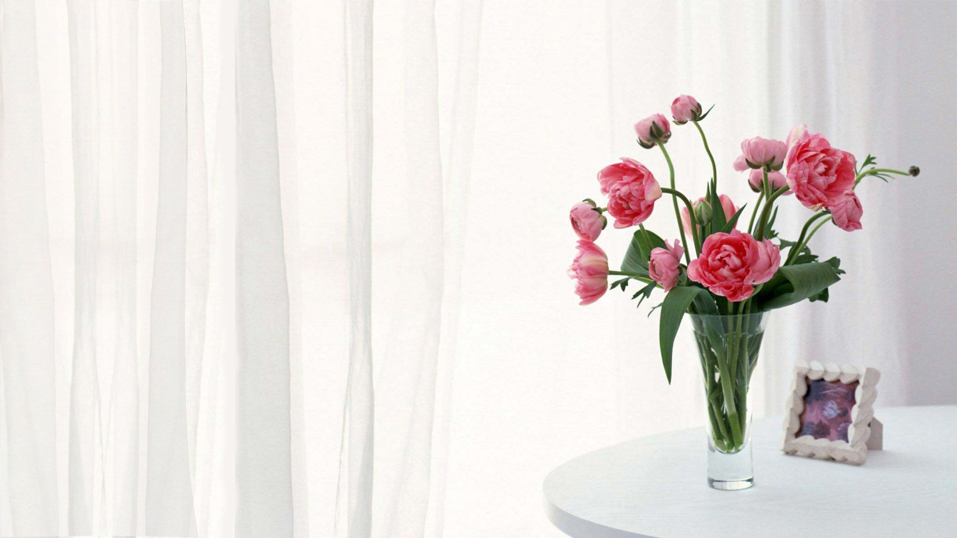 white table peonies curtains frame pink