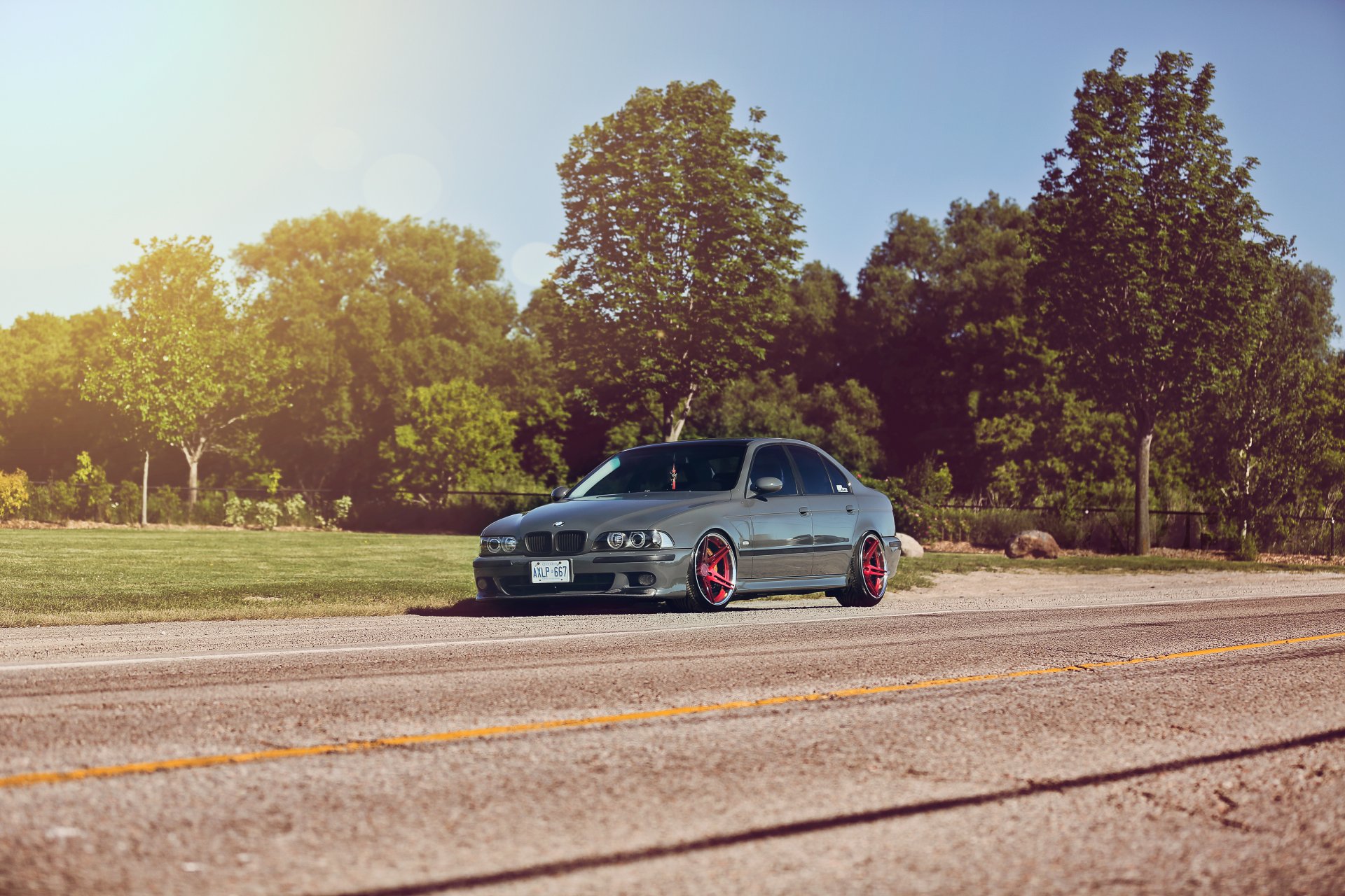 bmw 5 series m5 e39 bmw trees glare