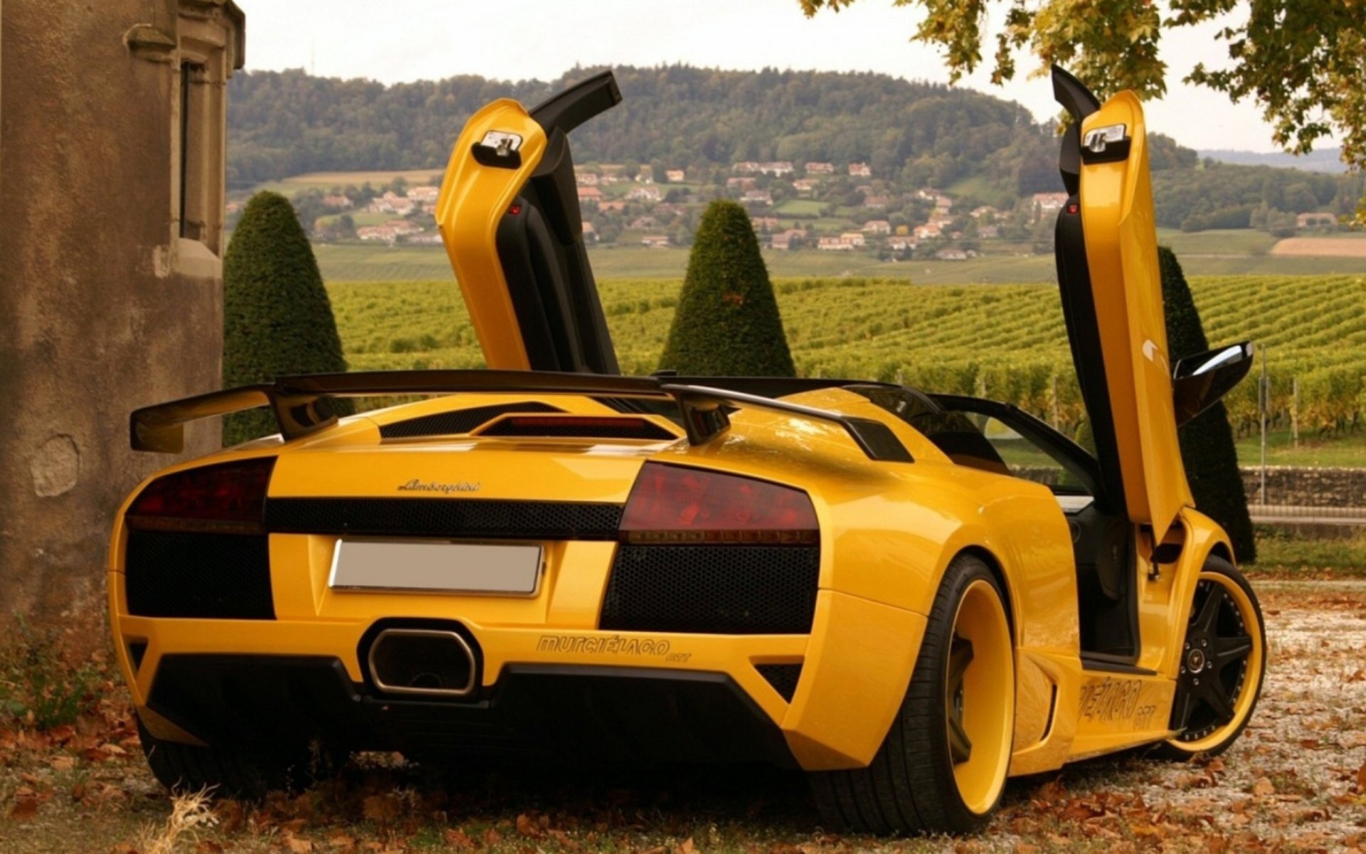 lamborghini murcielago lamborghini tuning naturaleza