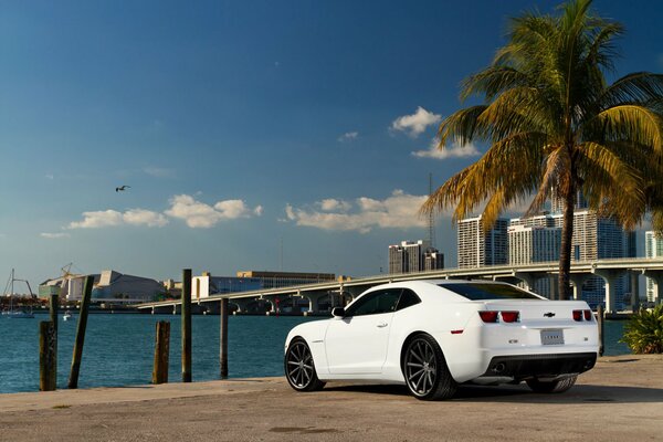 White Chevrolet Camaro off the coast