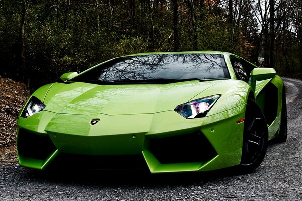 Lamborghini vert sur une route goudronnée