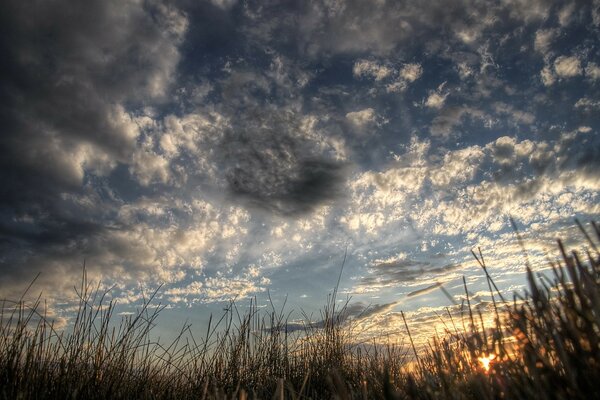 Cloudy sunrise or sunset on a grass background