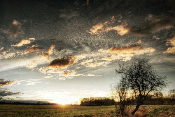 Sonnenuntergang über den Feldern