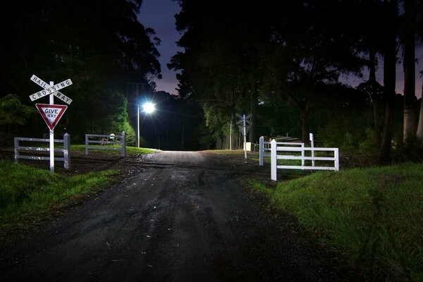 Crossing signs on the night road