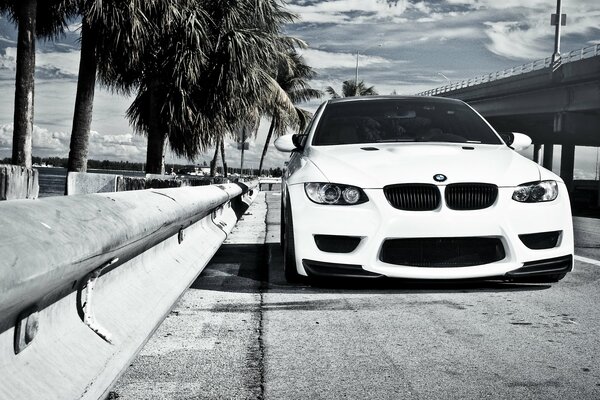 BMW blanco se detuvo en la valla en el puente