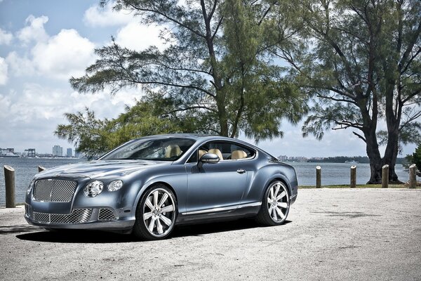 Bentley continental stands on the shore among the trees