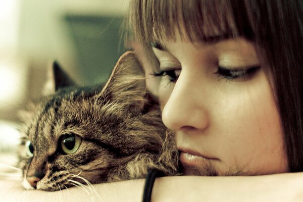 Photo fille chat regard yeux