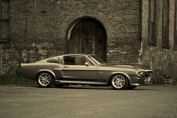 Mustang gt500 shelby. Black and white photo