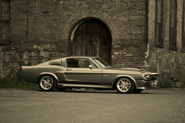 Mustang GT500 Shelby. Foto en blanco y negro