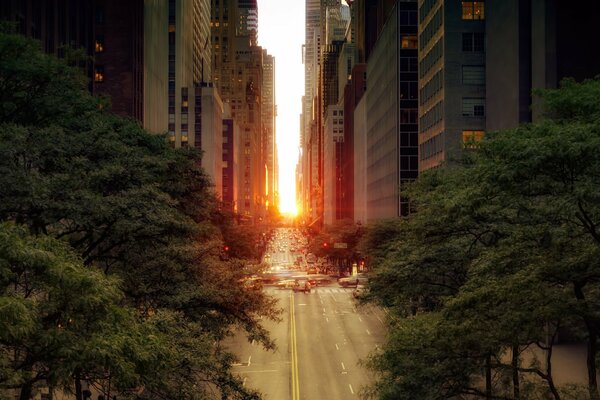 The road in the city against the background of trees