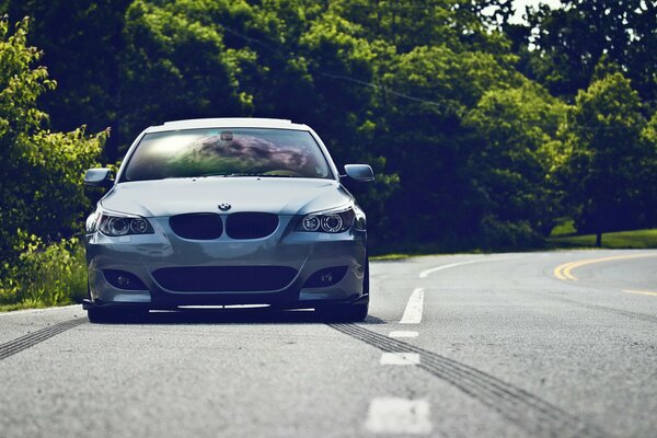 White BMW on the background of the road and trees