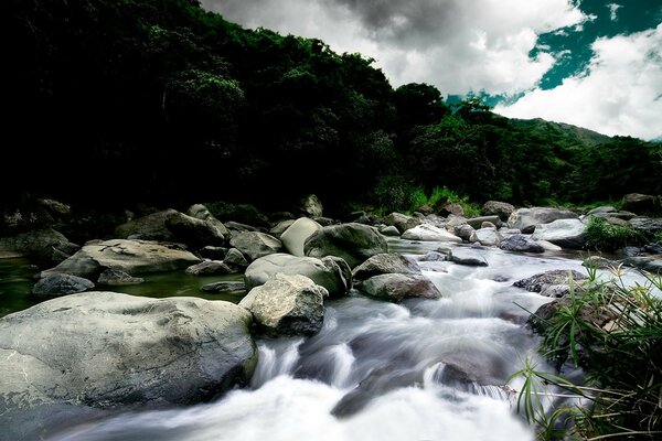 Rivière de montagne entourée de verdure