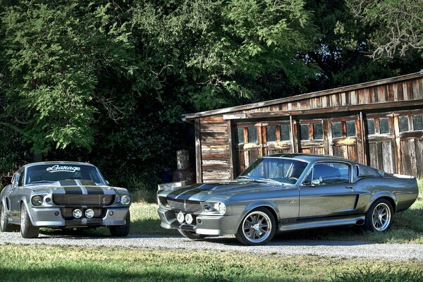 Shelby eleanors Ford mustang gt500 in der Nähe eines Waldhäuschens