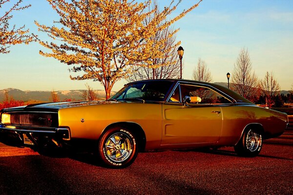 Dodge naranja en el asfalto