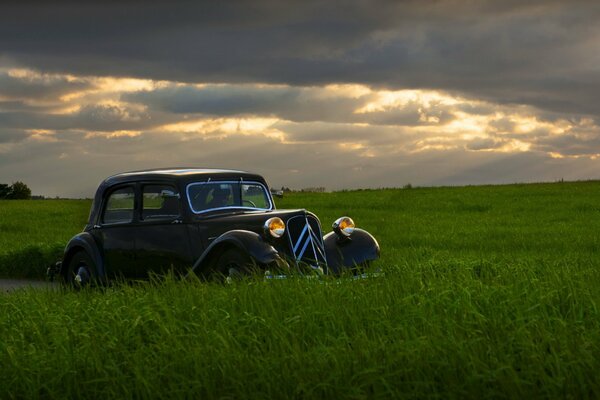 Oldtimer im Feld