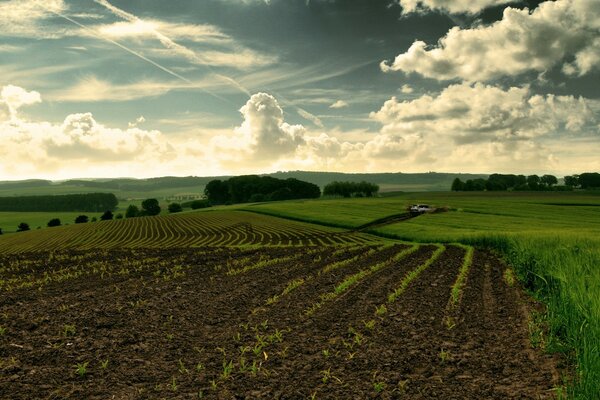 A white car spoils a beautiful arable land