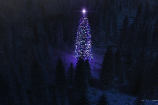 Moonlight sotto forma di un albero di Natale