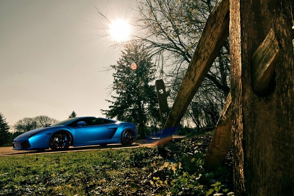 In der Natur steht ein schönes, blaues Auto
