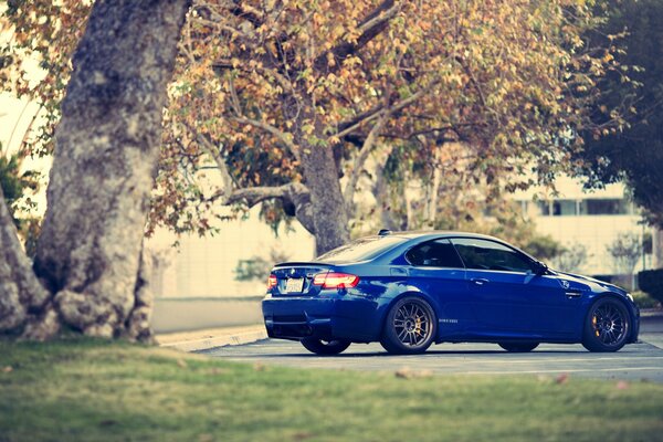 Blue BMW on a background of trees