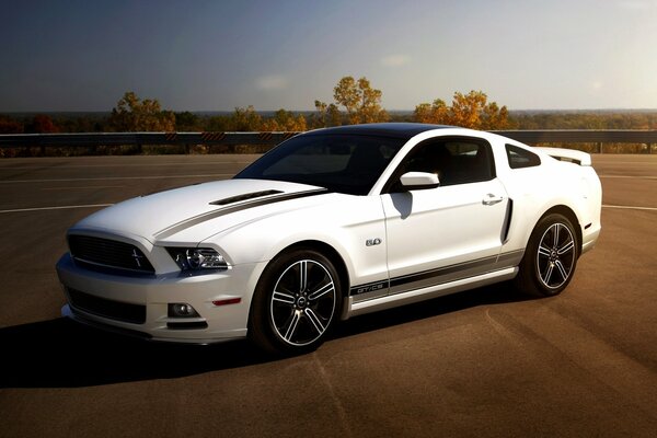 Ford Mustang 5. 0 gt bianco su uno sfondo di cielo blu