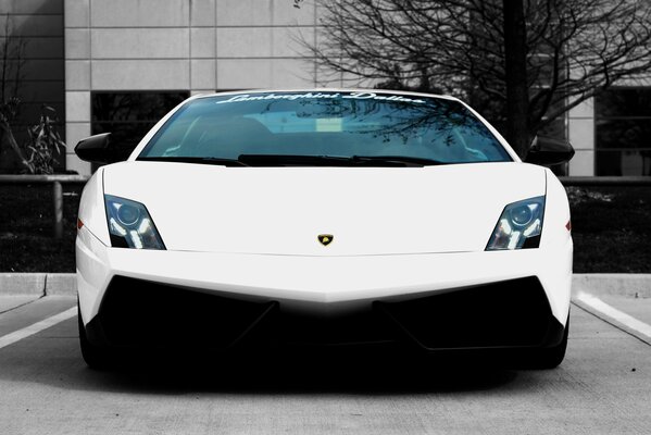 Primer plano del lamborghini gallardo blanco