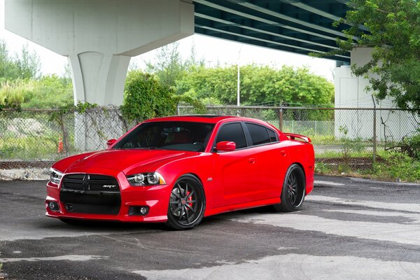 A bright red car on a background of green foliage