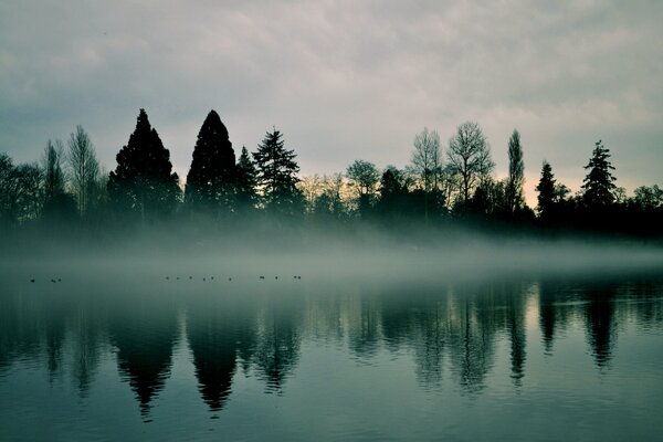 Amanecer en el río temprano en la mañana