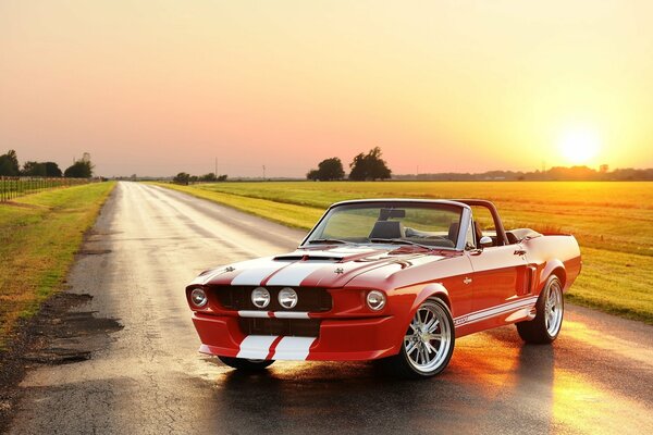 Rosso con strisce bianche auto Ford Mustang sulla strada nel campo