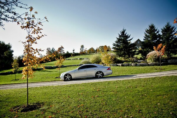 Expensive tuned mercedes benz in nature near the road