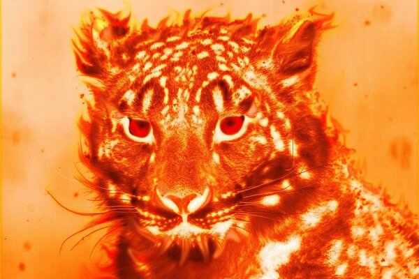 Cute bright orange tiger cub