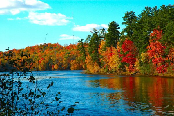 Lake in the autumn forest. Nature