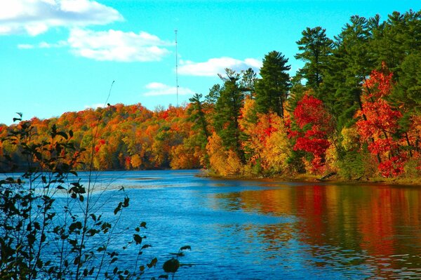 Lac dans la forêt d automne. Nature