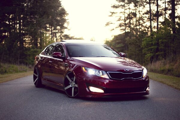 Kia Optima en el fondo de un bosque de pinos