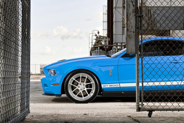 Une Ford Mustang bleue s est arrêtée devant les clôtures dans le filet