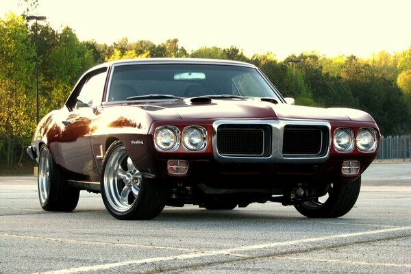 Powerful dark-colored Pontiac car on a background of trees