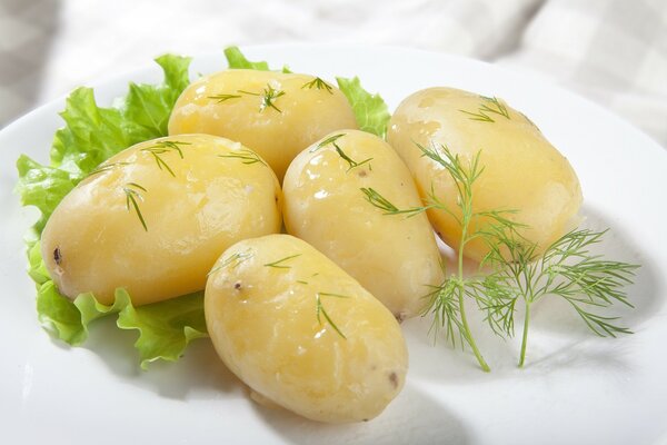 Patatas hervidas con eneldo y hojas verdes