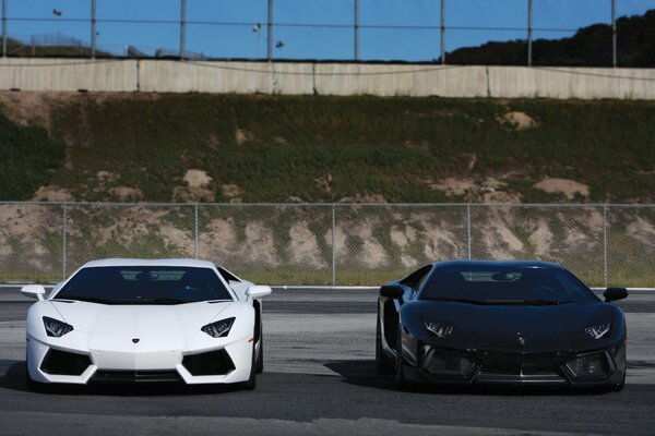 Lamborghini Aventador czarno-biały na drodze