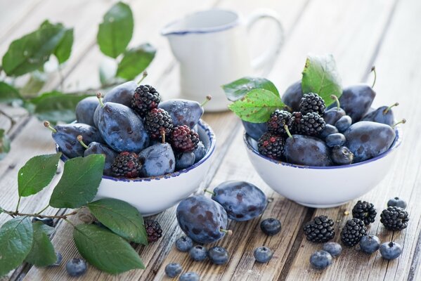 Stillleben lila Früchte Brombeeren und Pflaumen in weißen Tassen