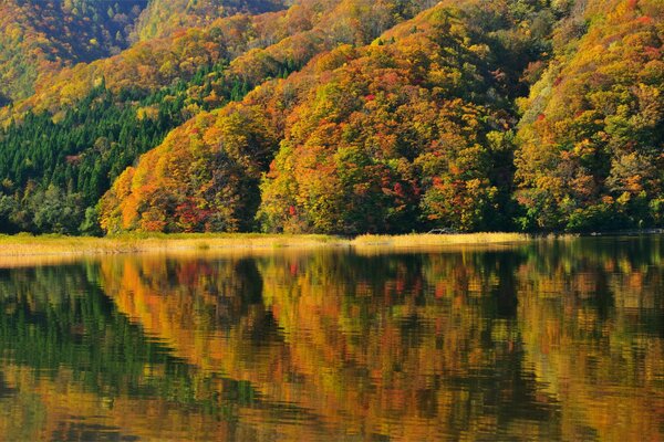 Пейзаж осеннего озера в японии