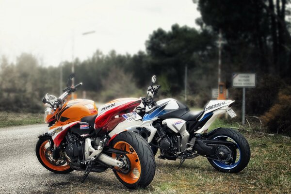 Two beautiful motorcycles parked at the highway